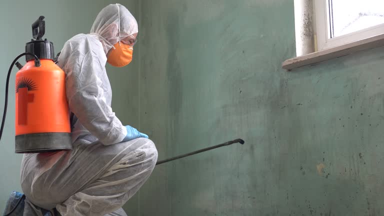 Why You Should Choose Our Mold Remediation Services in Highspire, PA